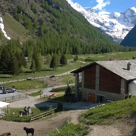 La Ferme Du Grand Paradis Cogne Exteriér fotografie