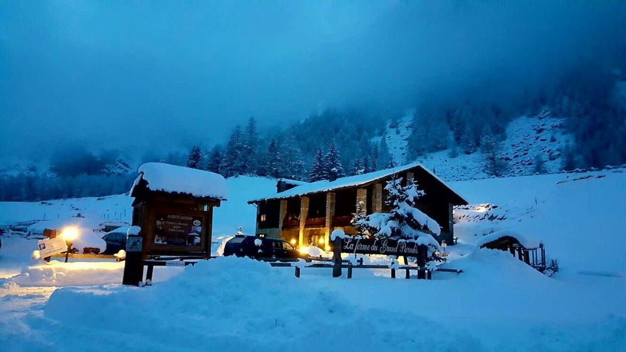 La Ferme Du Grand Paradis Cogne Exteriér fotografie