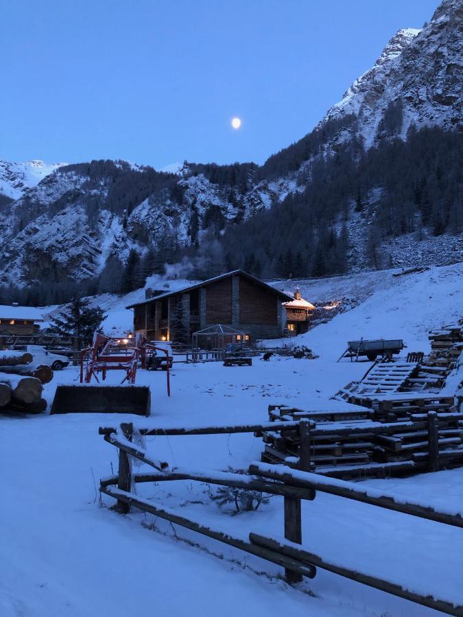 La Ferme Du Grand Paradis Cogne Exteriér fotografie